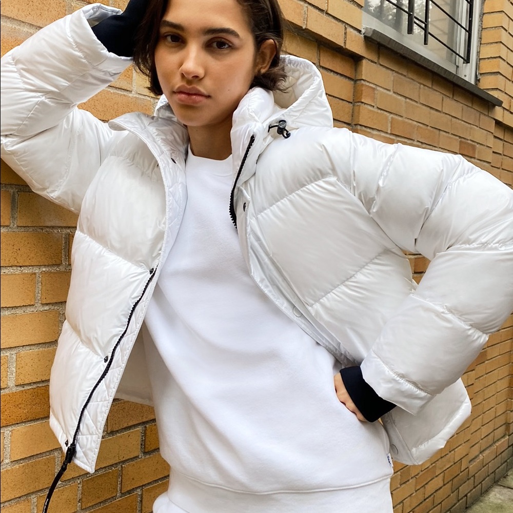 Aritzia super puff shorty coat